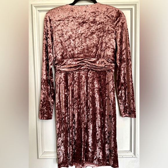Violets & Roses Crushed Velvet Dress - Picture 4 of 6